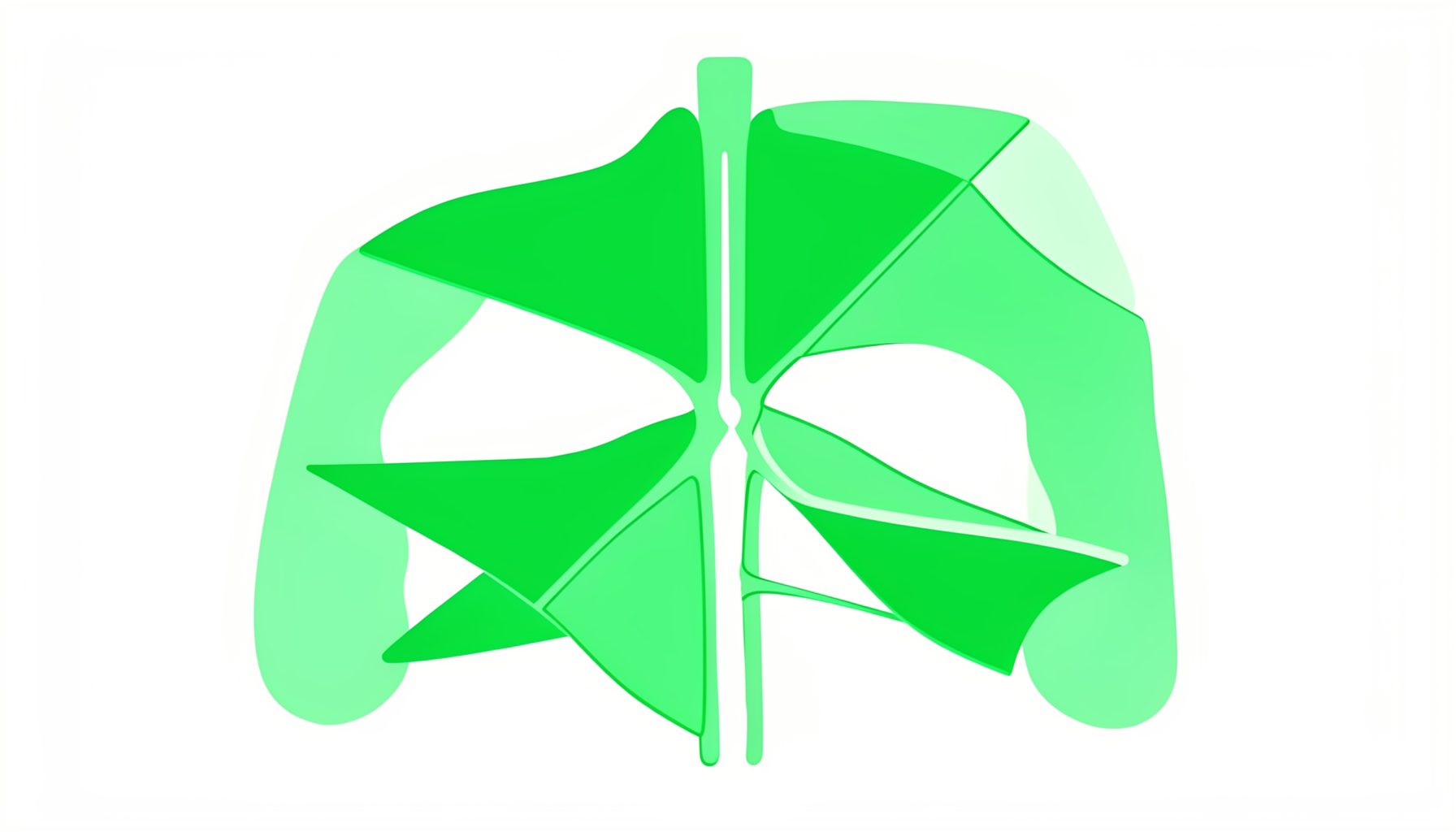 Illustration médicale schématique en vert et blanc évoquant une structure anatomique simplifiée